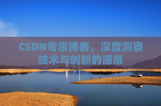 CSDN专家博客，深度洞察技术与创新的源泉